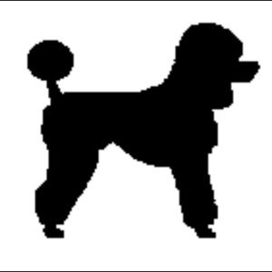 Meet your Posher, Gabriel